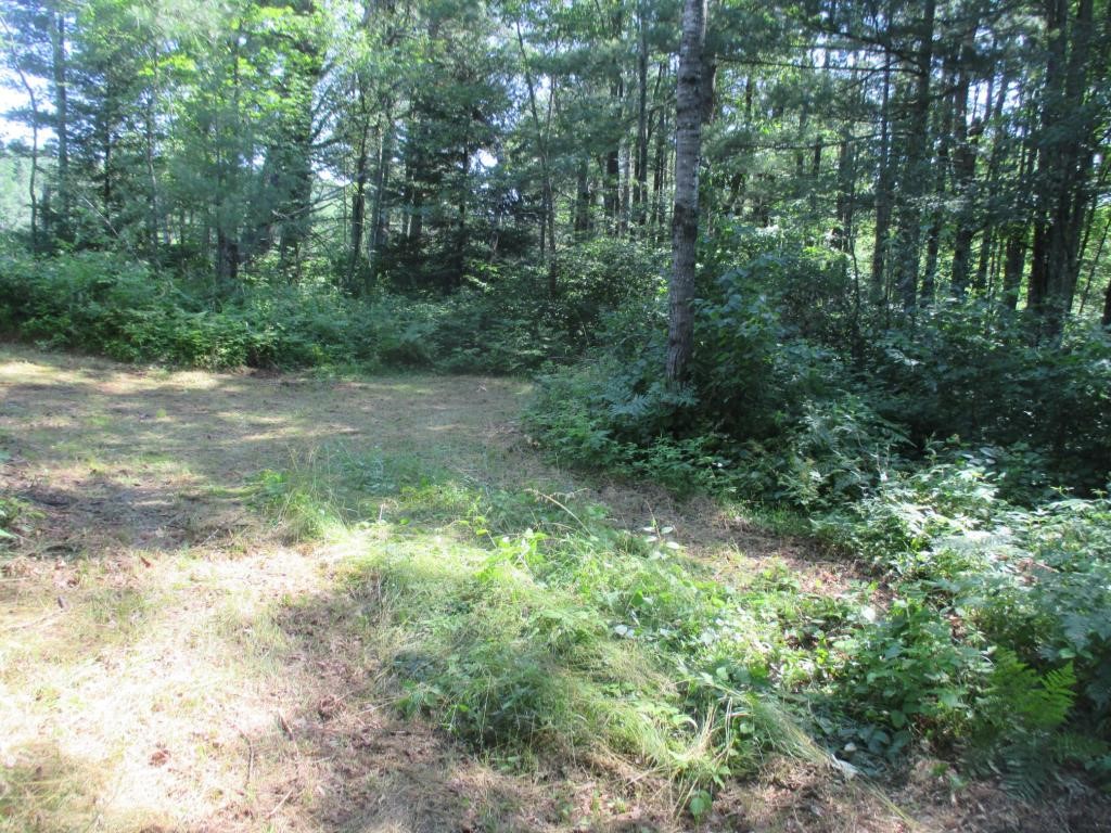 Lot 1 State Road 27/70 Property Photo 6