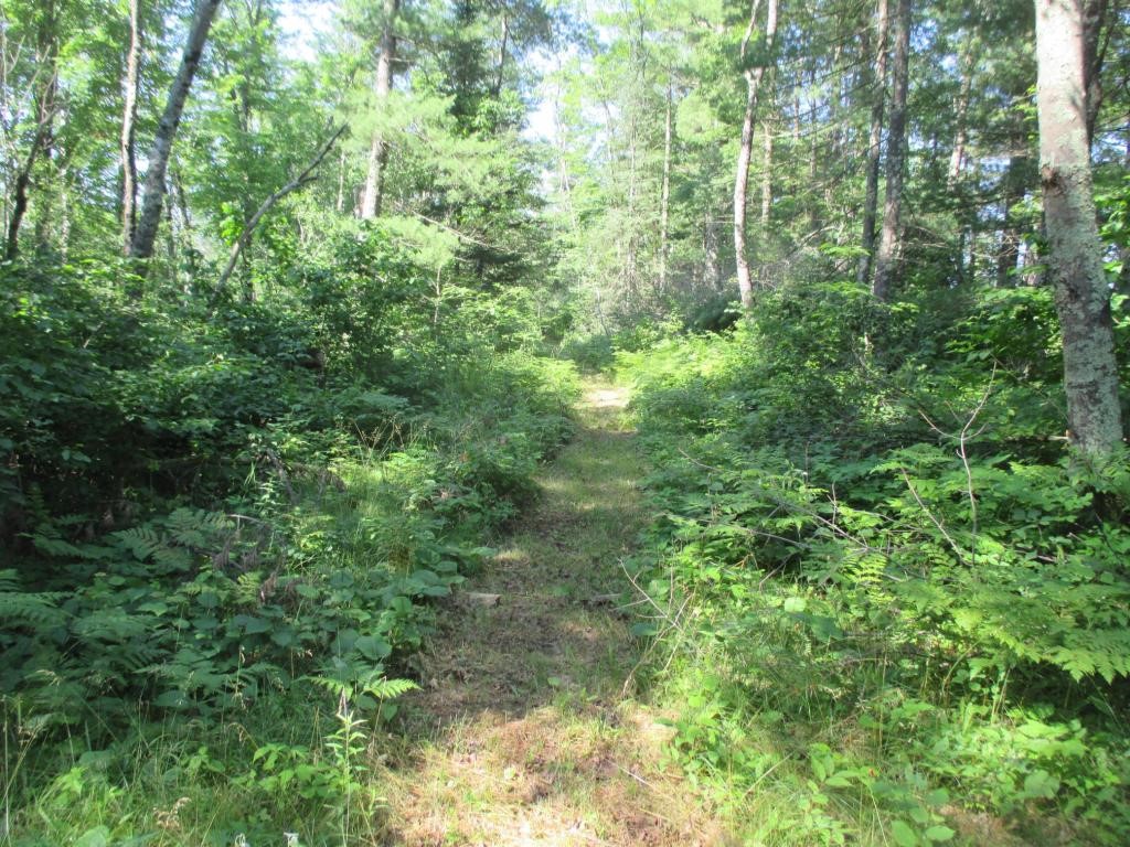 Lot 2 State Road 27/70 Property Photo 3