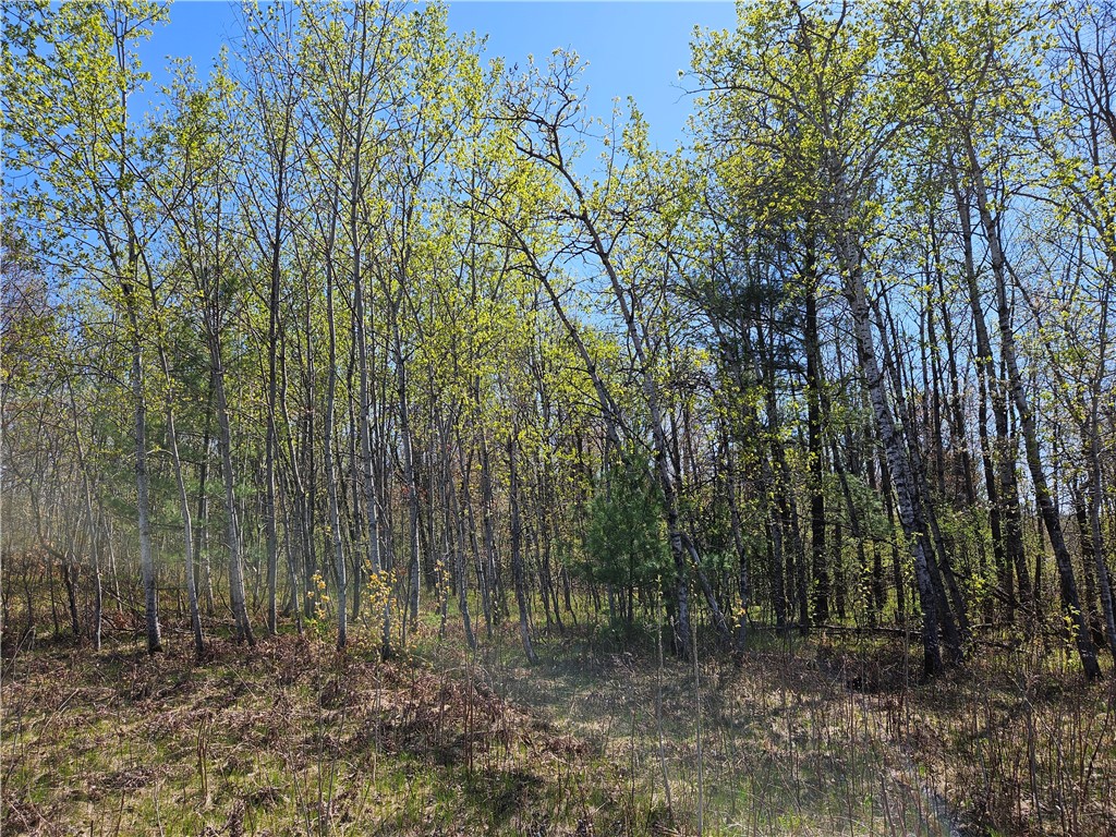 1591378 Property Photo 3