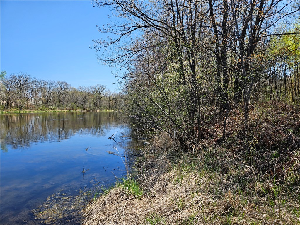 1591378 Property Photo 6