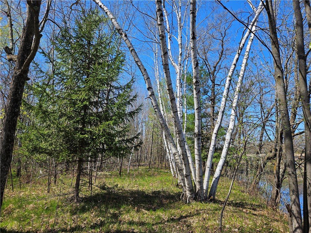 1591378 Property Photo 12