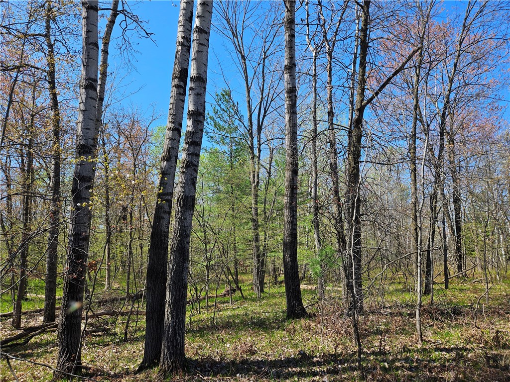 1591378 Property Photo 15