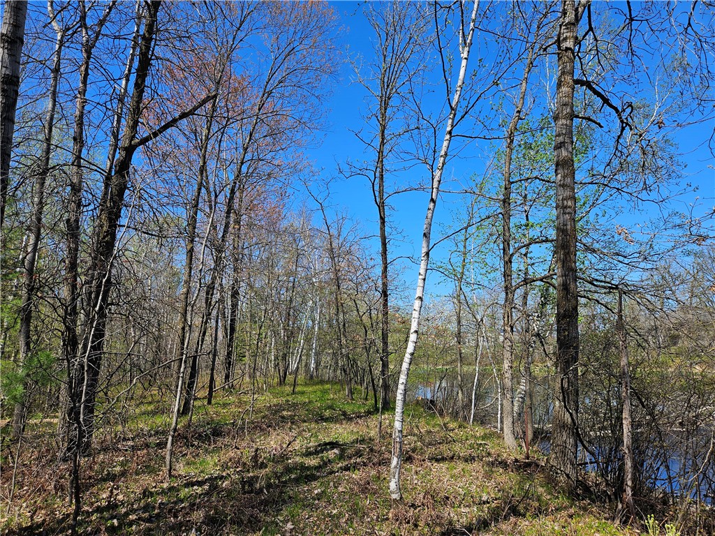 1591378 Property Photo 16