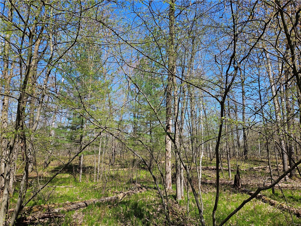 1591378 Property Photo 17