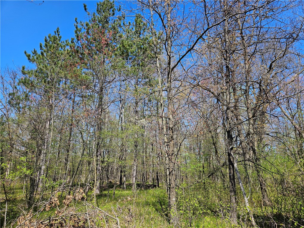 1591378 Property Photo 23