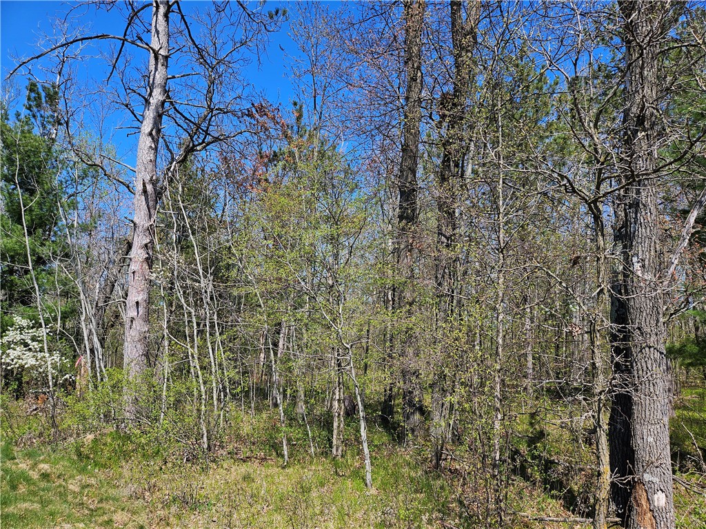 1591378 Property Photo 24
