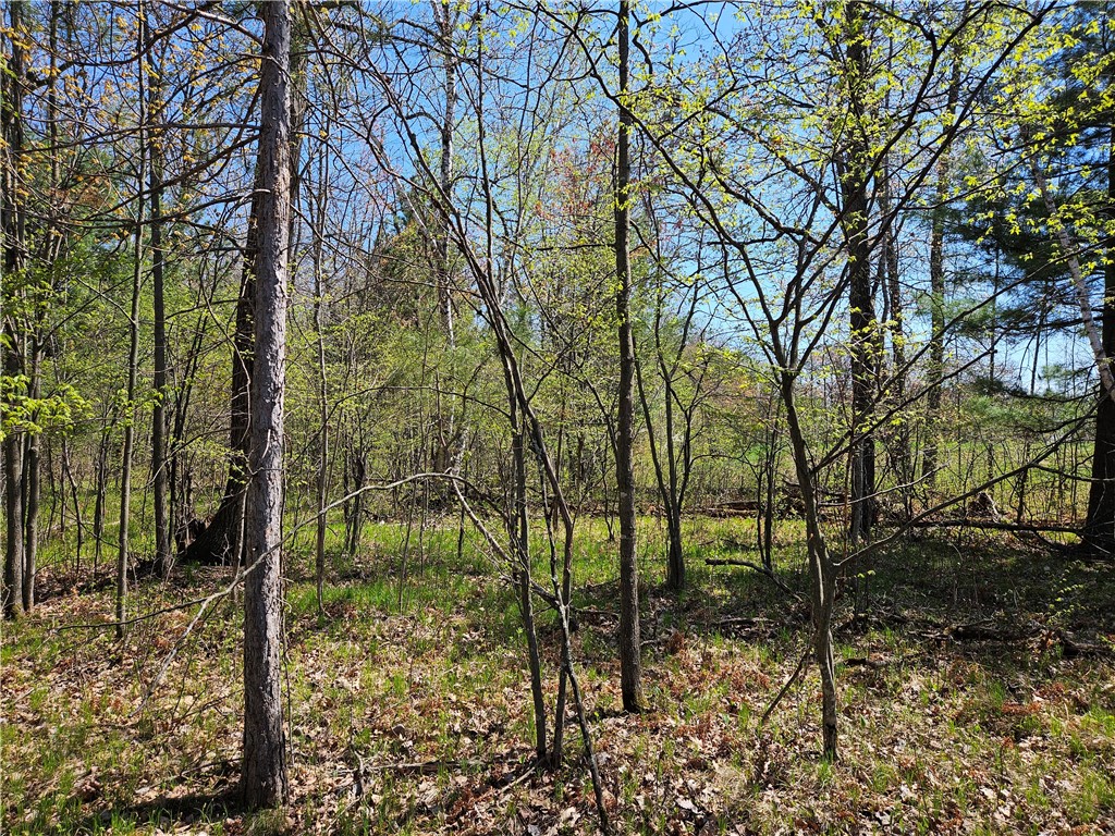 1591378 Property Photo 25
