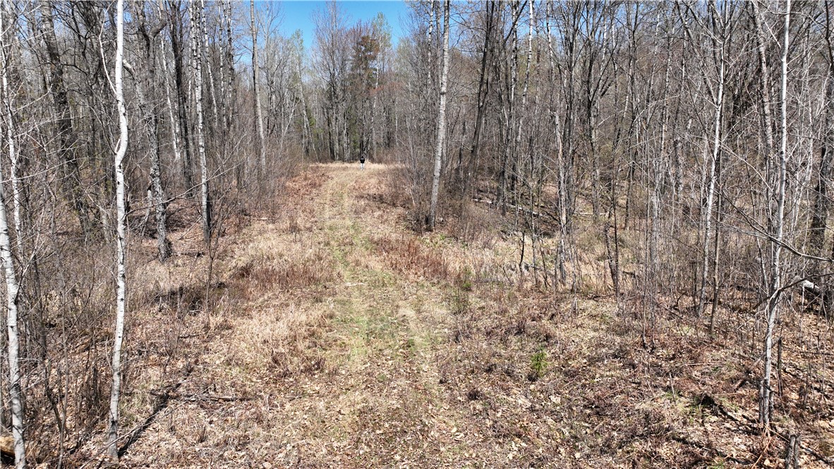 Xx E Beauregard Lake Road Property Photo 1
