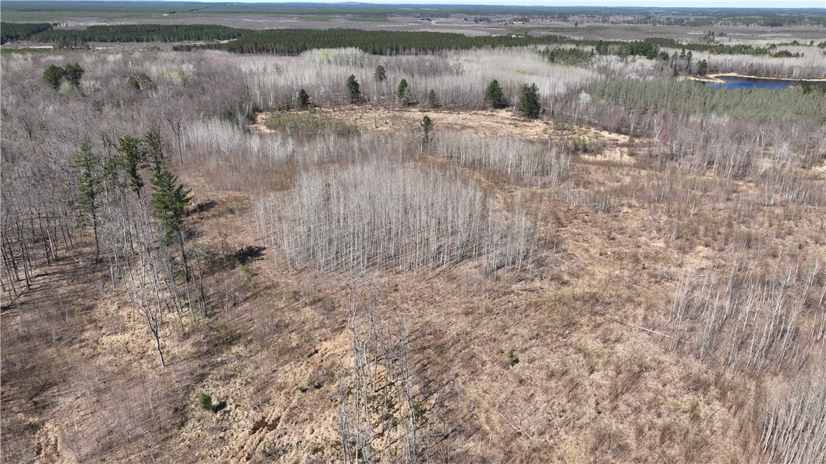 Xx E Beauregard Lake Road Property Photo 2