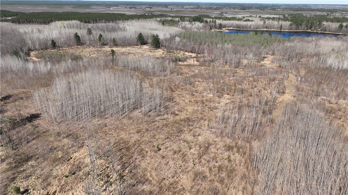 Xx E Beauregard Lake Road Property Photo 3