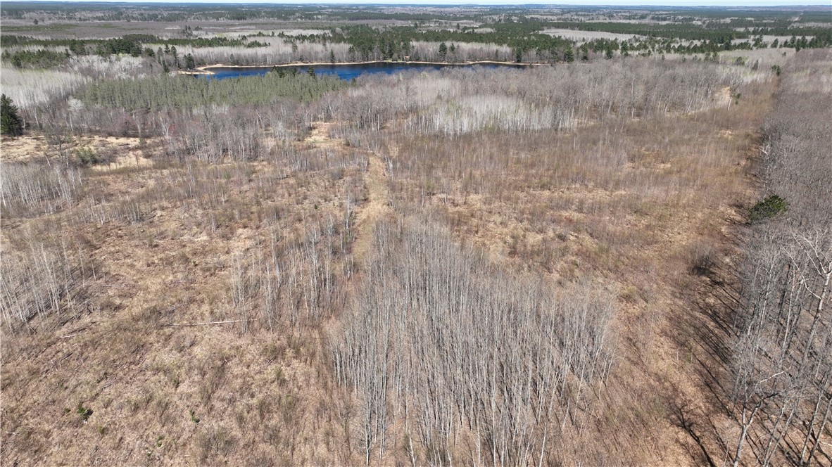 Xx E Beauregard Lake Road Property Photo 4