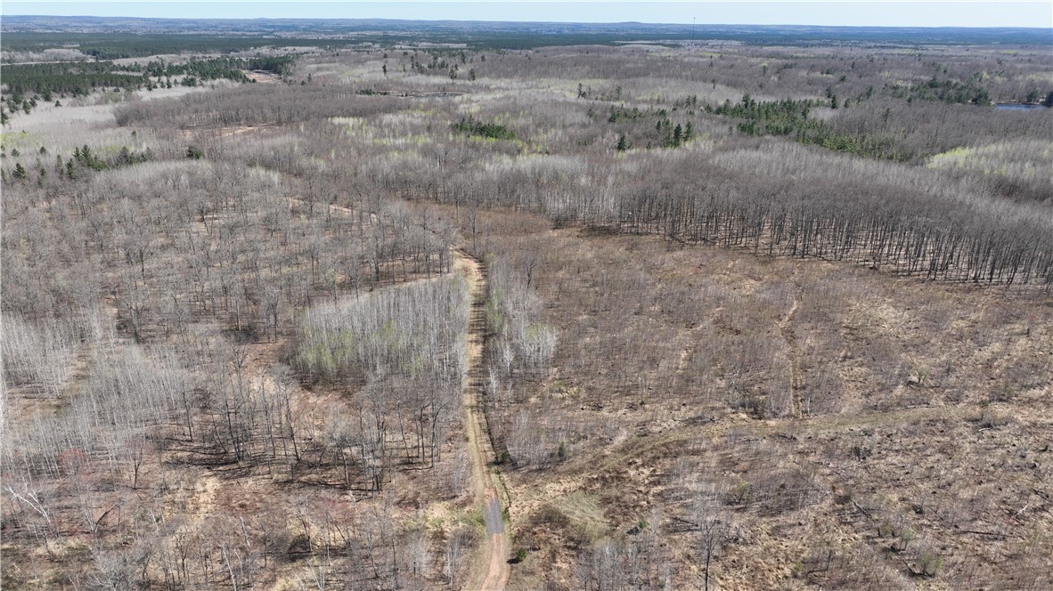 Xx E Beauregard Lake Road Property Photo 6