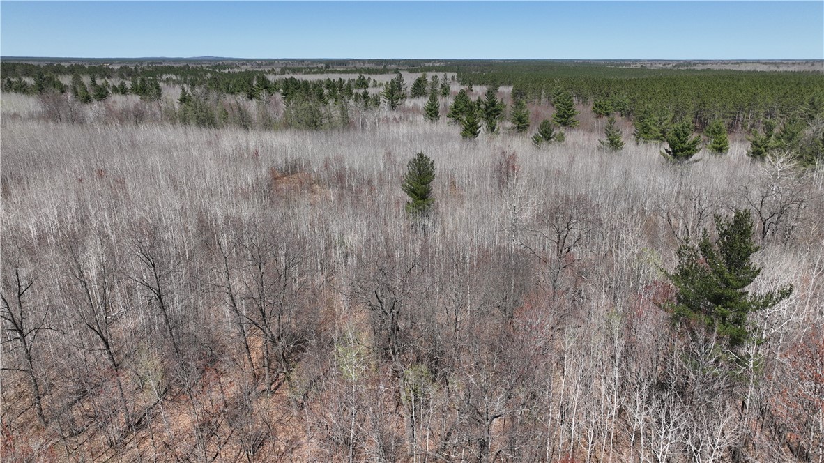 Xx E Beauregard Lake Road Property Photo 8