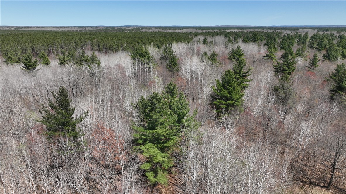 Xx E Beauregard Lake Road Property Photo 9