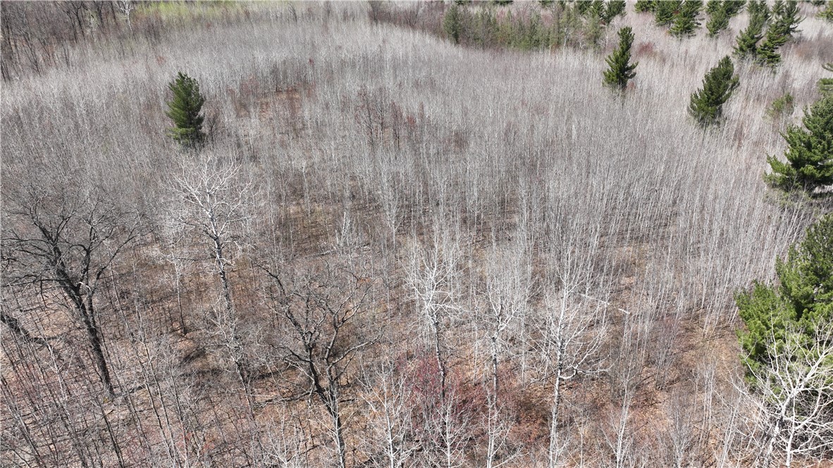 Xx E Beauregard Lake Road Property Photo 10