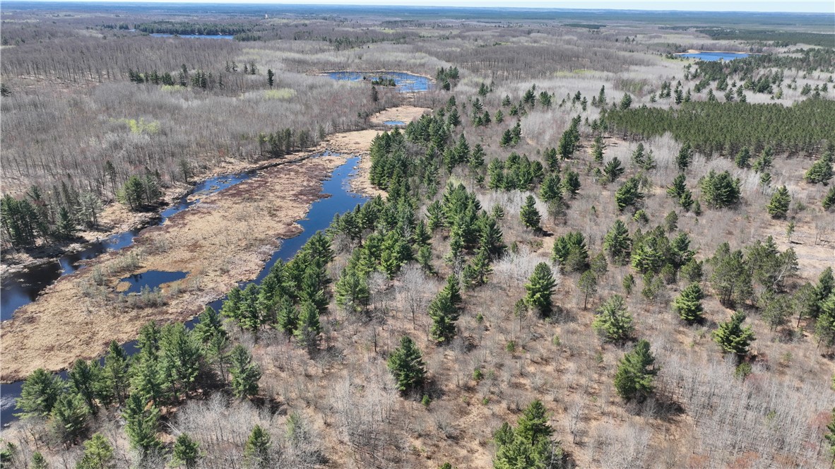 Xx E Beauregard Lake Road Property Photo 11