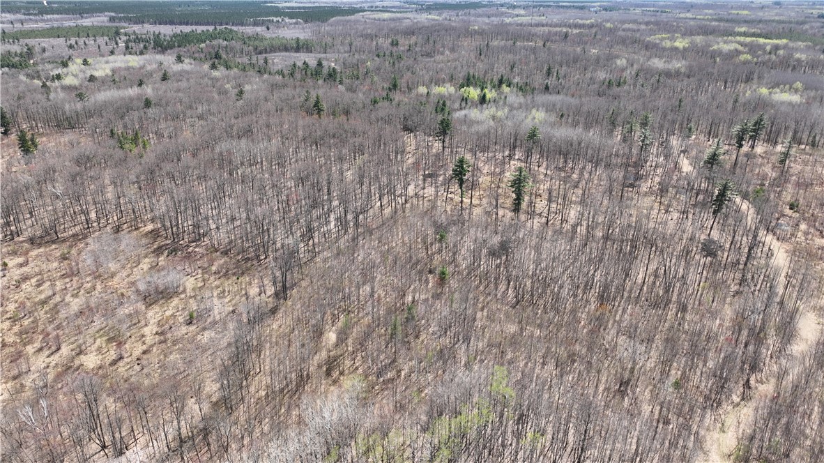 Xx E Beauregard Lake Road Property Photo 13