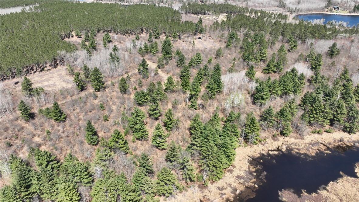 Xx E Beauregard Lake Road Property Photo 15