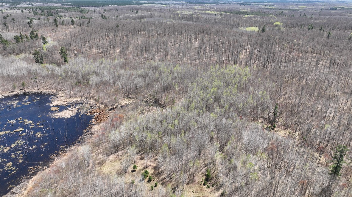 Xx E Beauregard Lake Road Property Photo 19