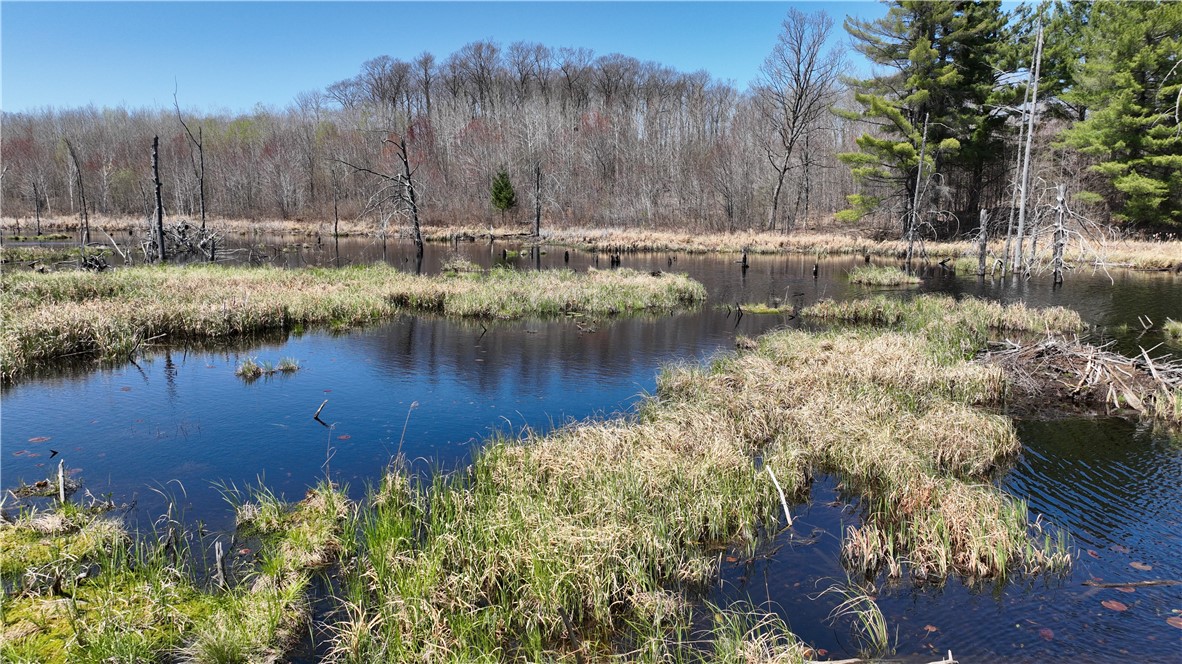 Xx E Beauregard Lake Road Property Photo 22