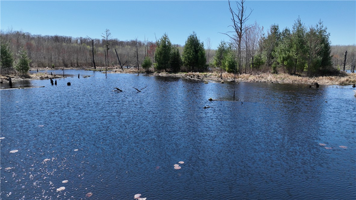 Xx E Beauregard Lake Road Property Photo 23