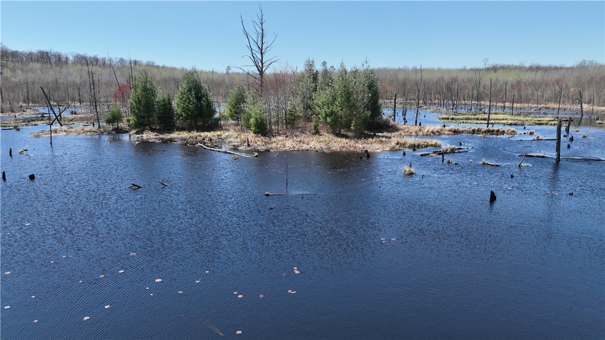 Xx E Beauregard Lake Road Property Photo 25