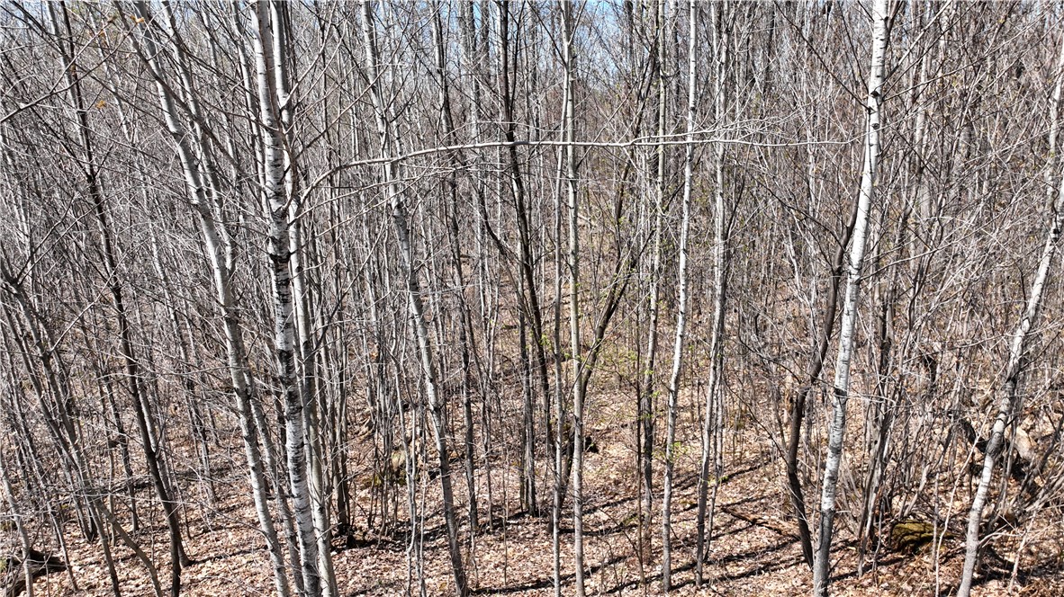 Xx E Beauregard Lake Road Property Photo 26