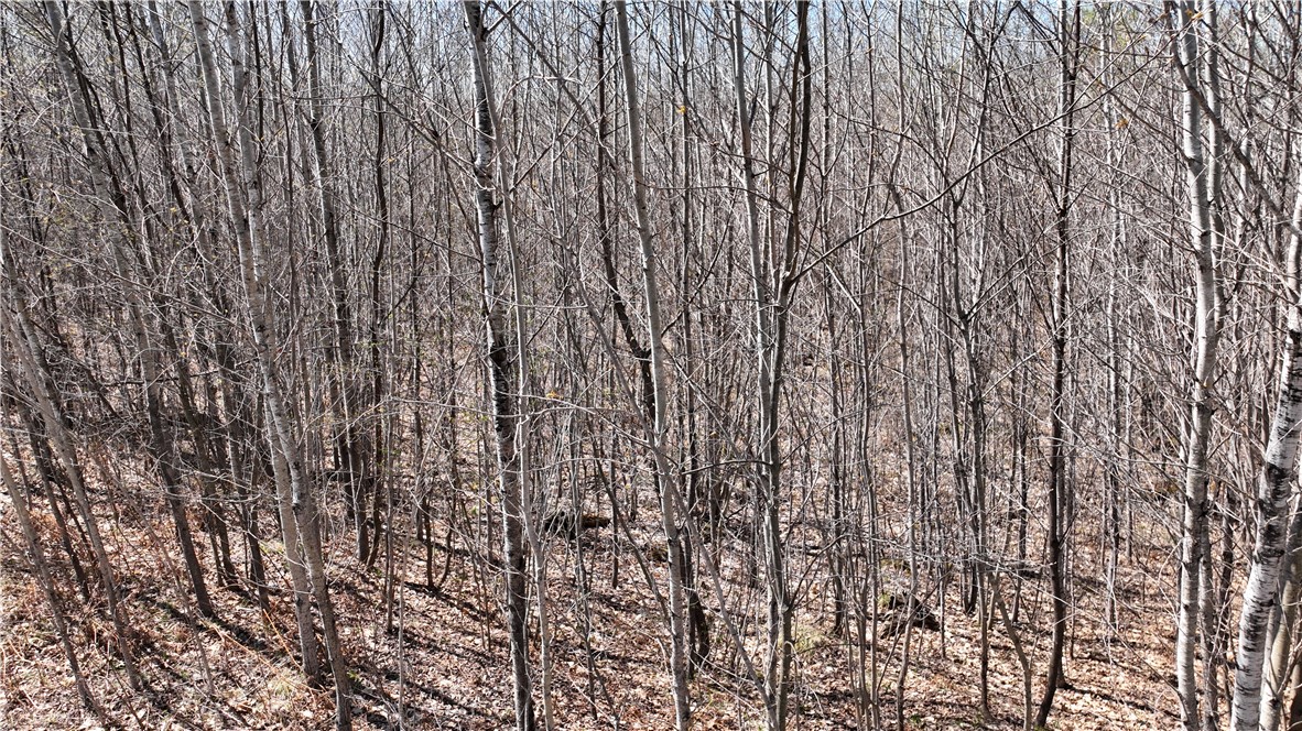 Xx E Beauregard Lake Road Property Photo 27