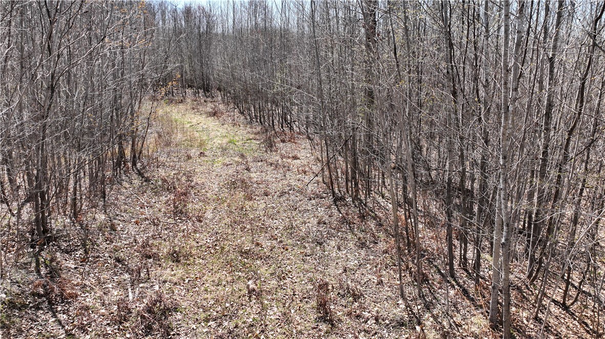 Xx E Beauregard Lake Road Property Photo 28