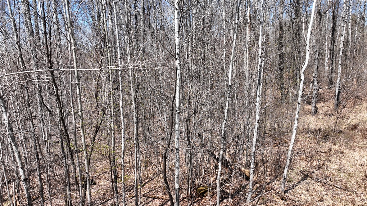 Xx E Beauregard Lake Road Property Photo 29