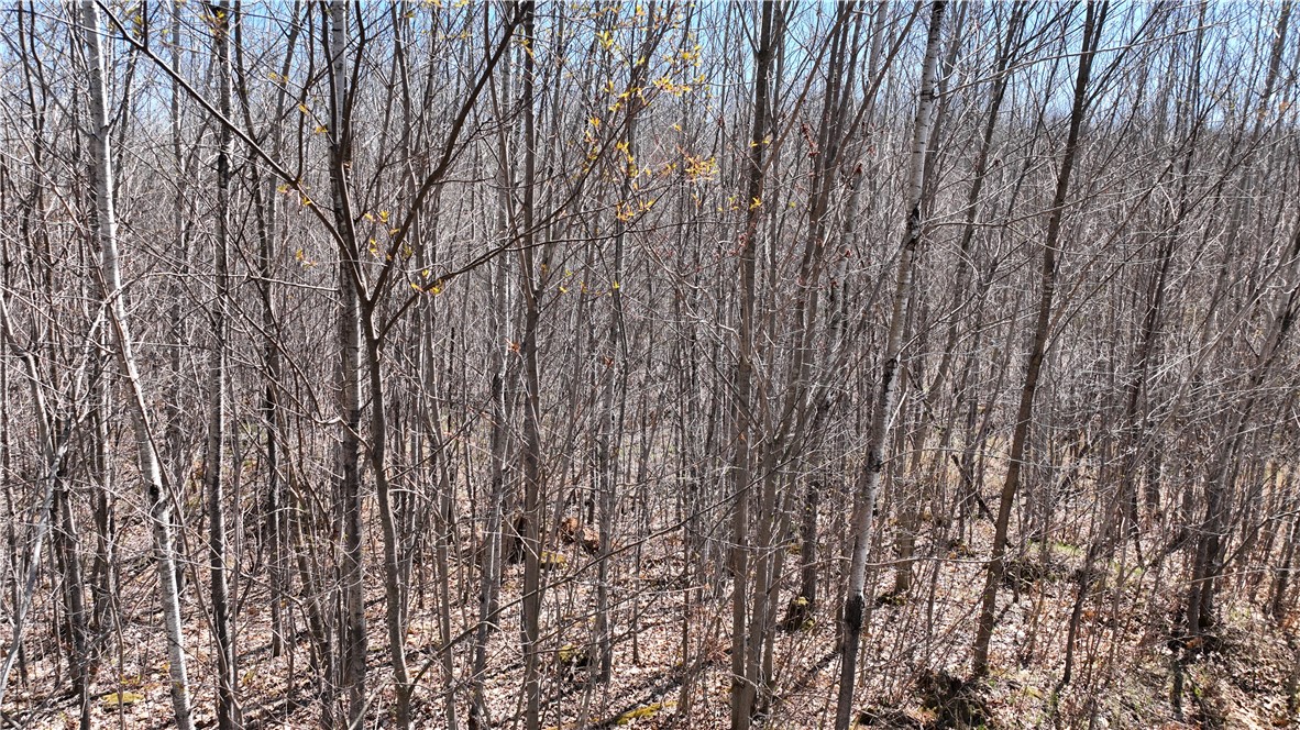 Xx E Beauregard Lake Road Property Photo 31