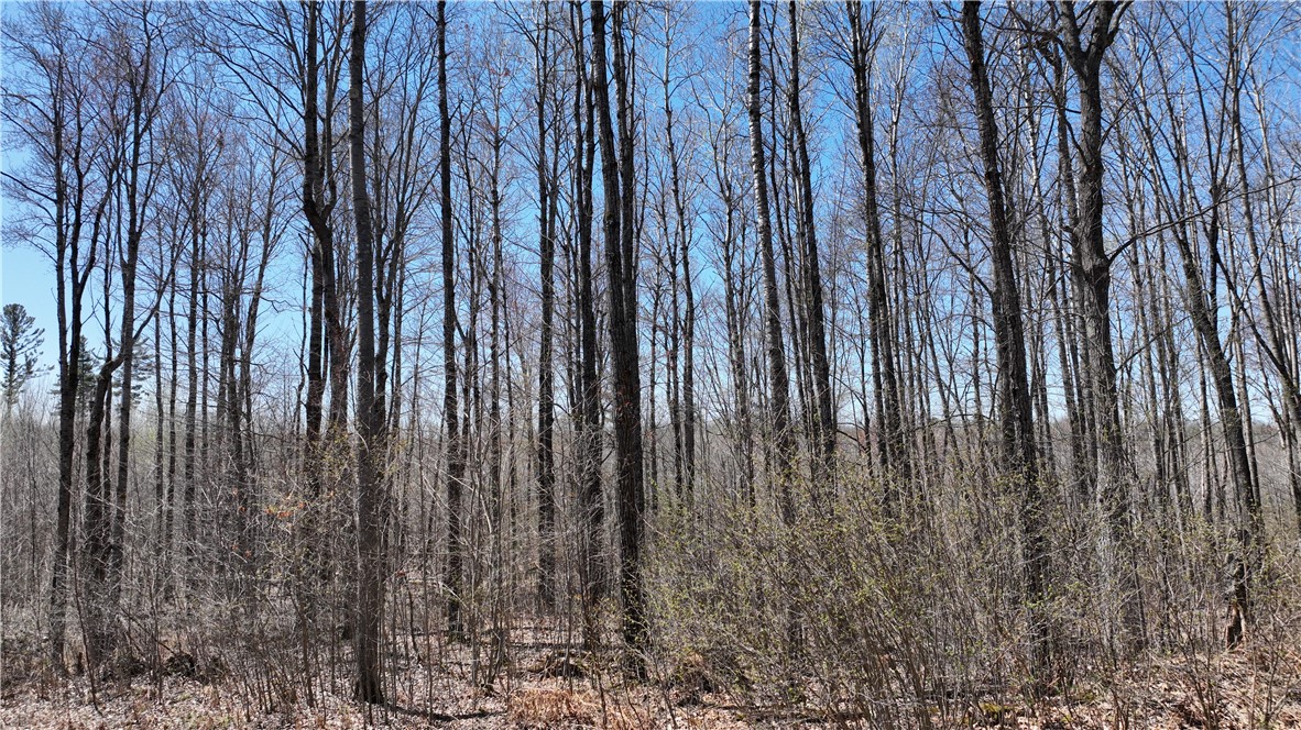 Xx E Beauregard Lake Road Property Photo 32