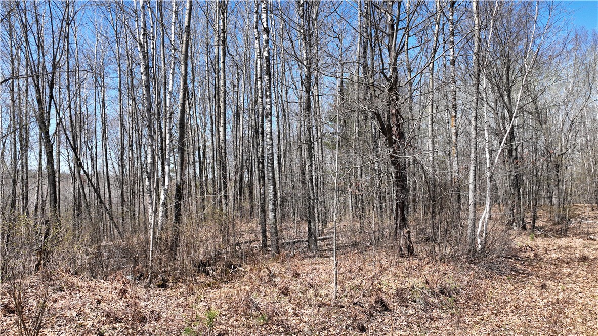 Xx E Beauregard Lake Road Property Photo 33