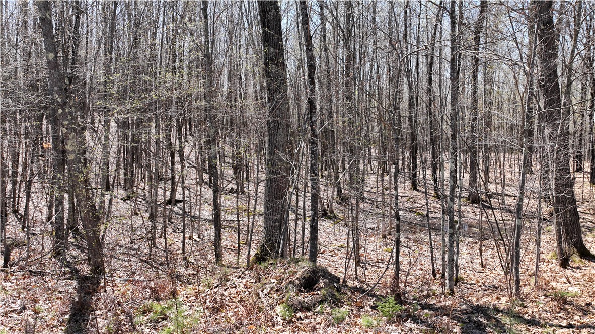Xx E Beauregard Lake Road Property Photo 34
