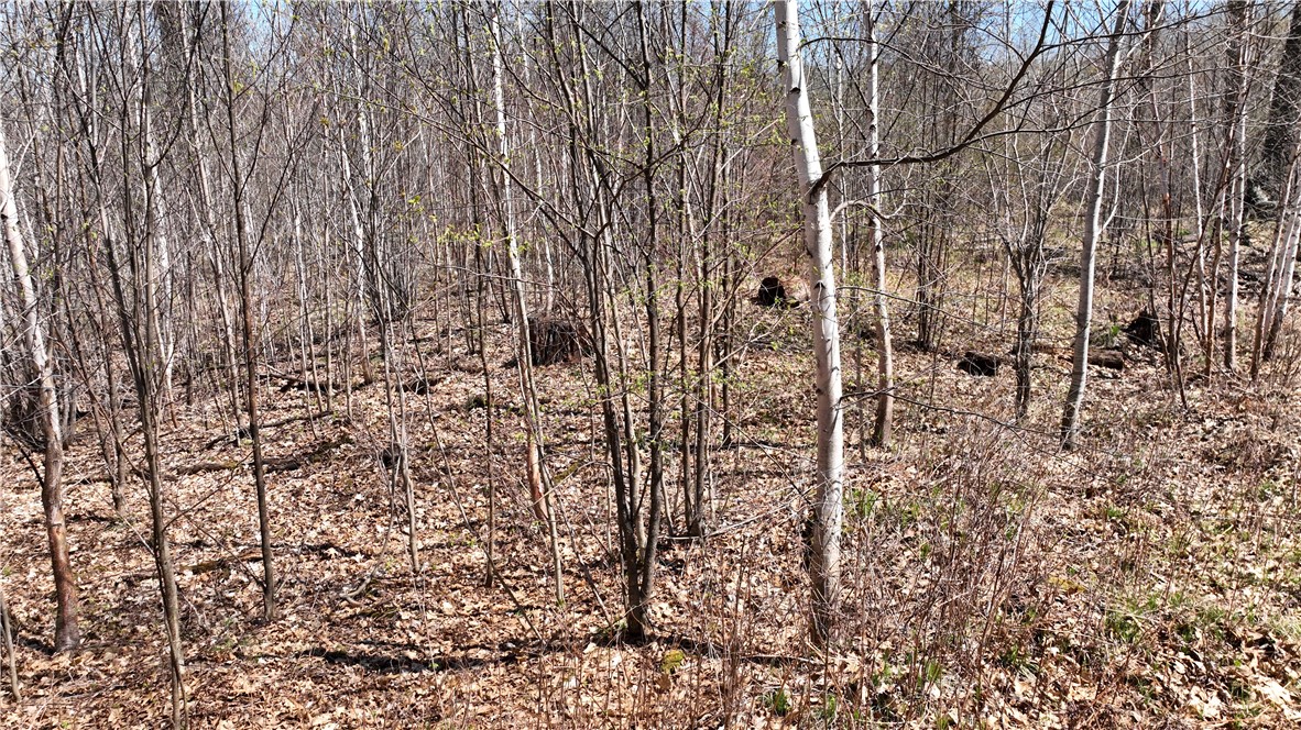Xx E Beauregard Lake Road Property Photo 35