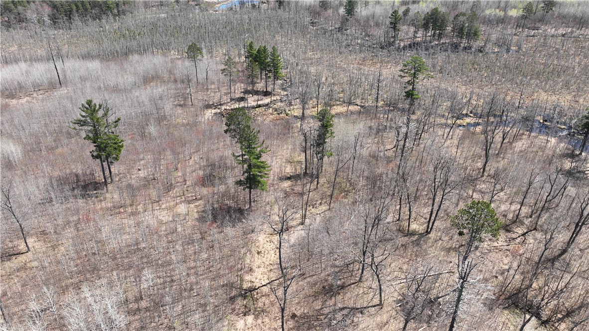 Xx E Beauregard Lake Road Property Photo 37