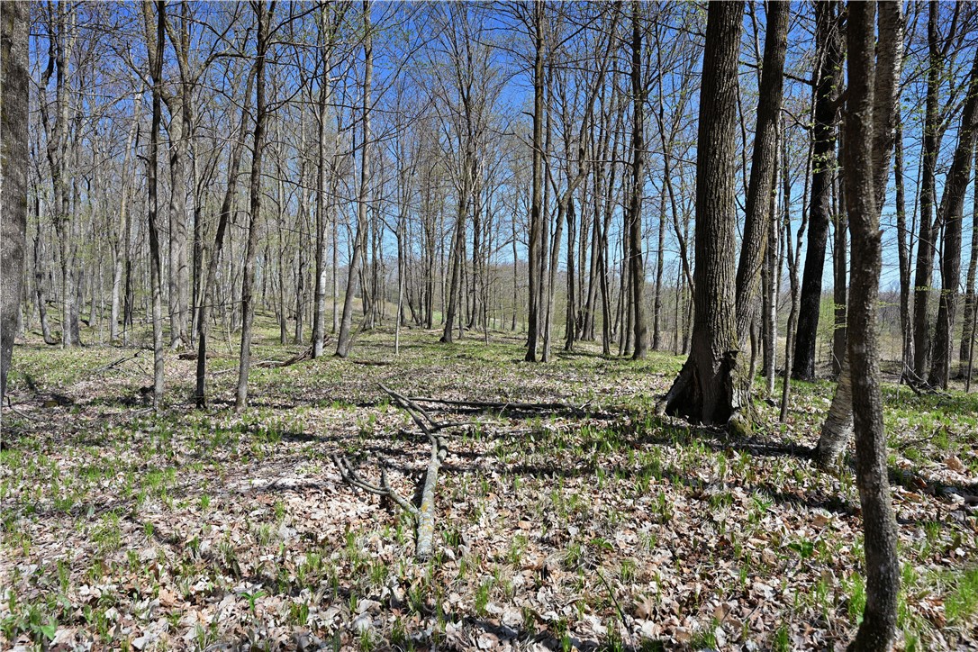 2451 County Highway C Property Photo 40