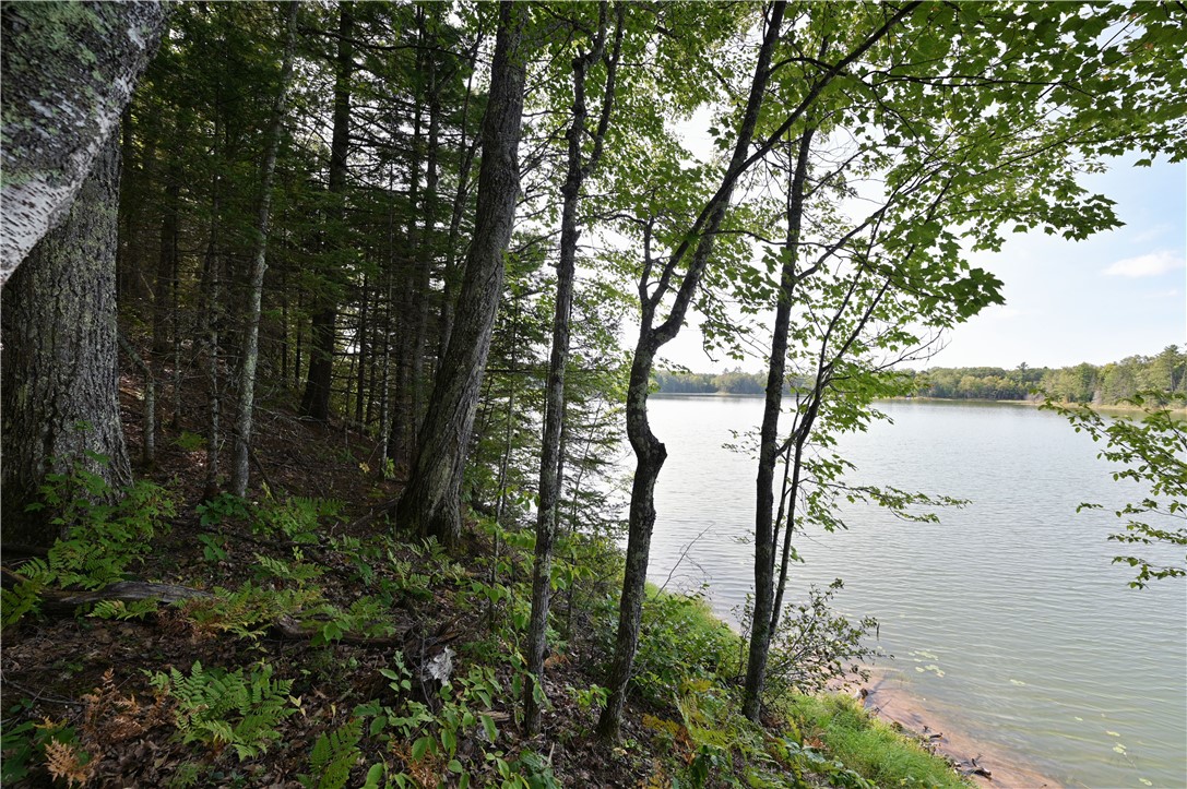 13025 Brady Road Property Photo 1