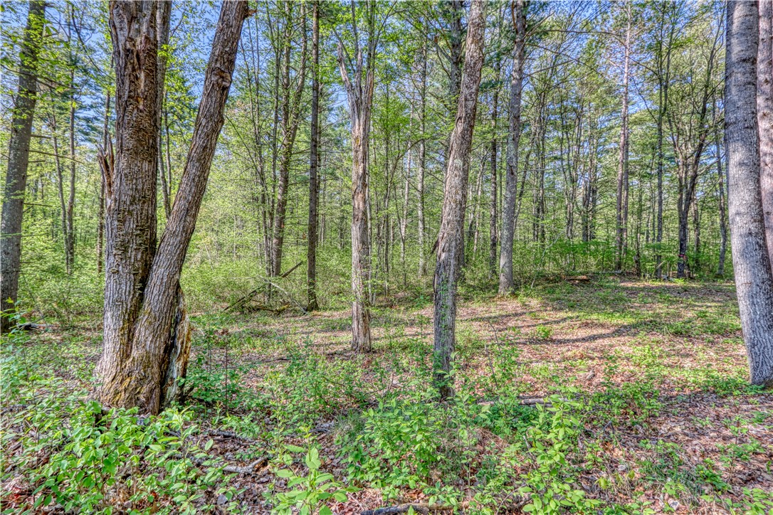 10148 N Mcclaine Road Property Photo 4