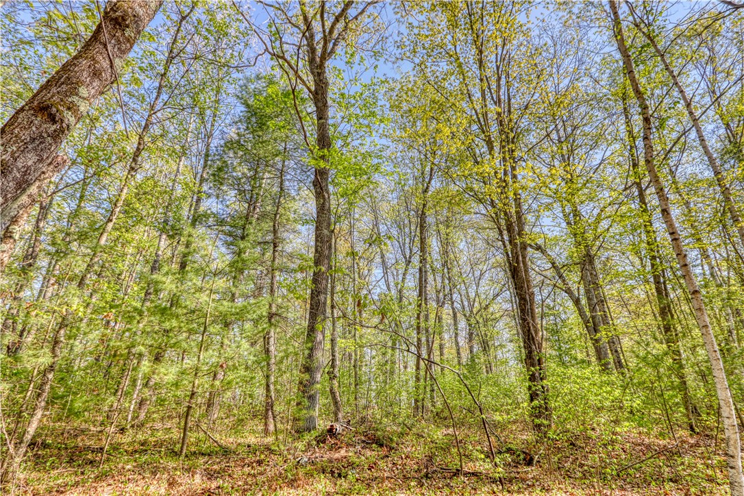 10148 N Mcclaine Road Property Photo 42