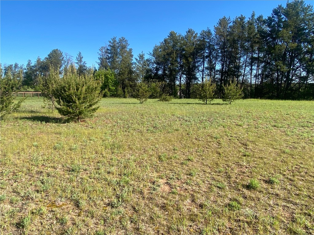Lot 6 Nelson Road Property Photo 1