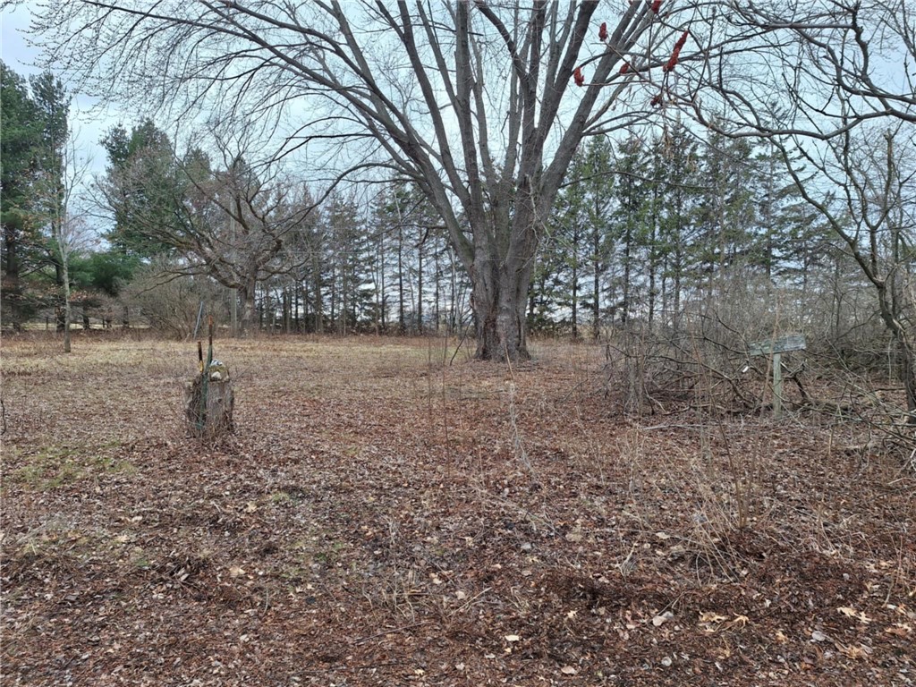 0 164th Street Property Photo 1