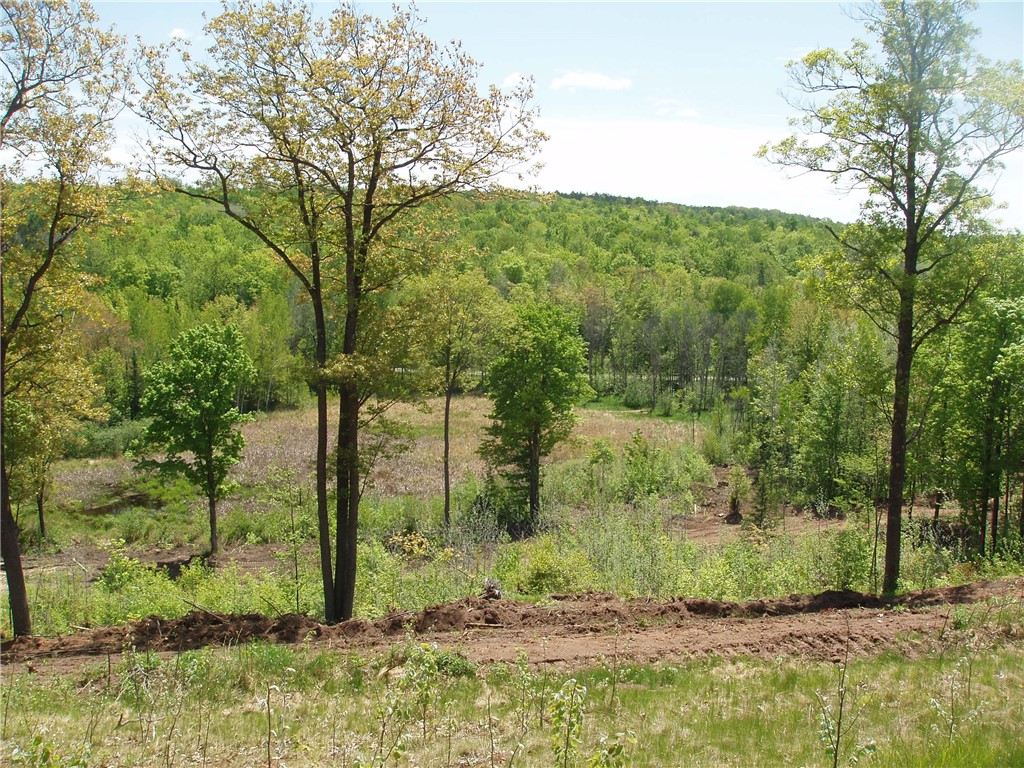 Lot 1 On Highway 169 Property Photo 1