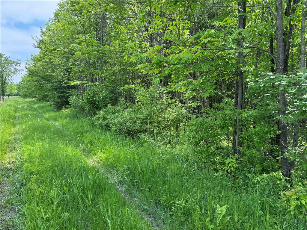 000 Winter Sports Road Property Photo 1