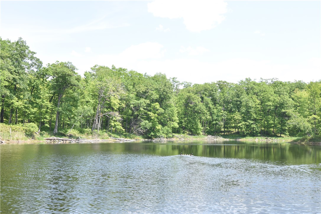 Lot 6 151st Street Property Photo 2