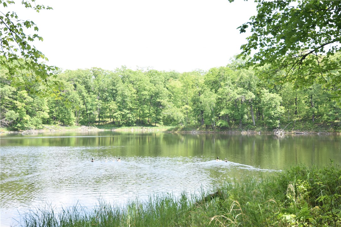 Lot 6 151st Street Property Photo 3