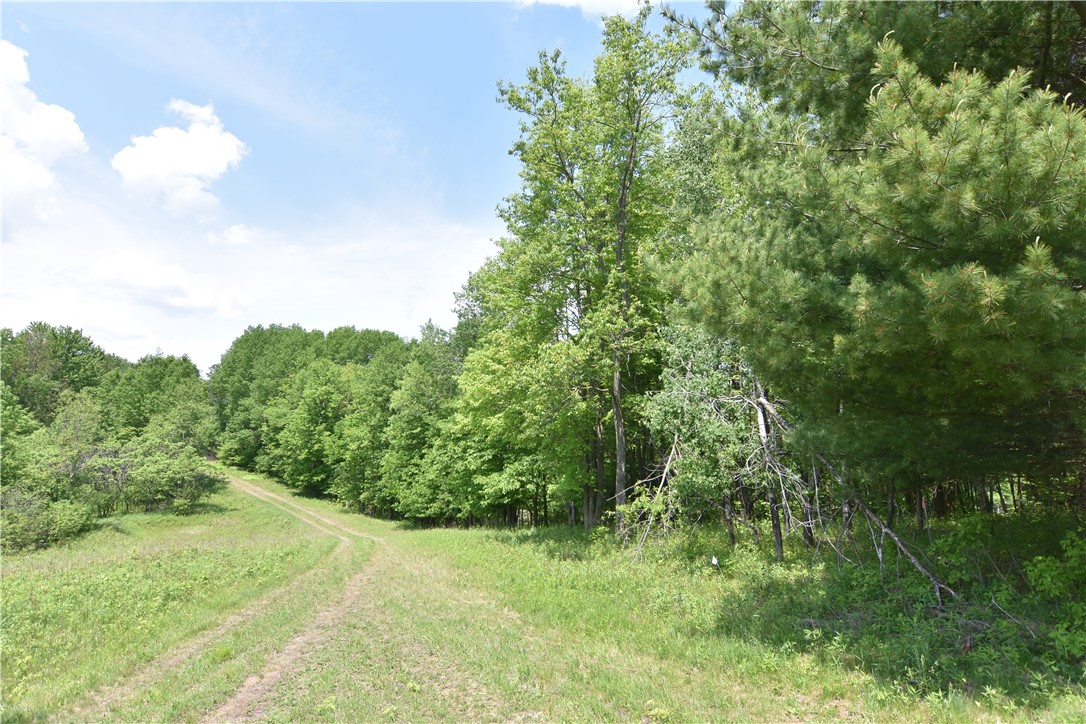 Lot 6 151st Street Property Photo 9