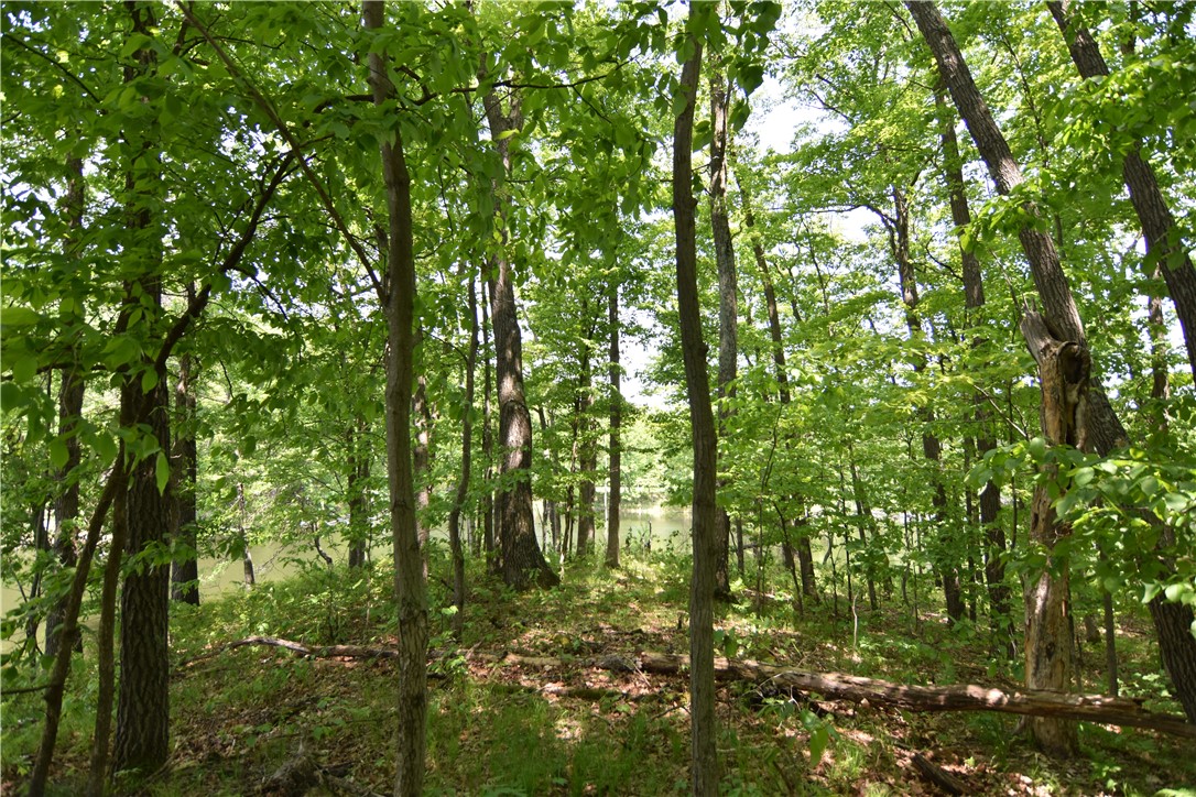 Lot 6 151st Street Property Photo 17