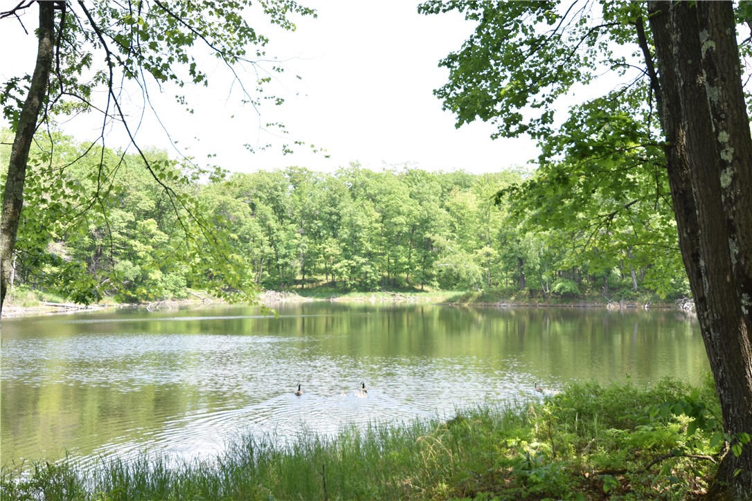 Lot 6 151st Street Property Photo 18