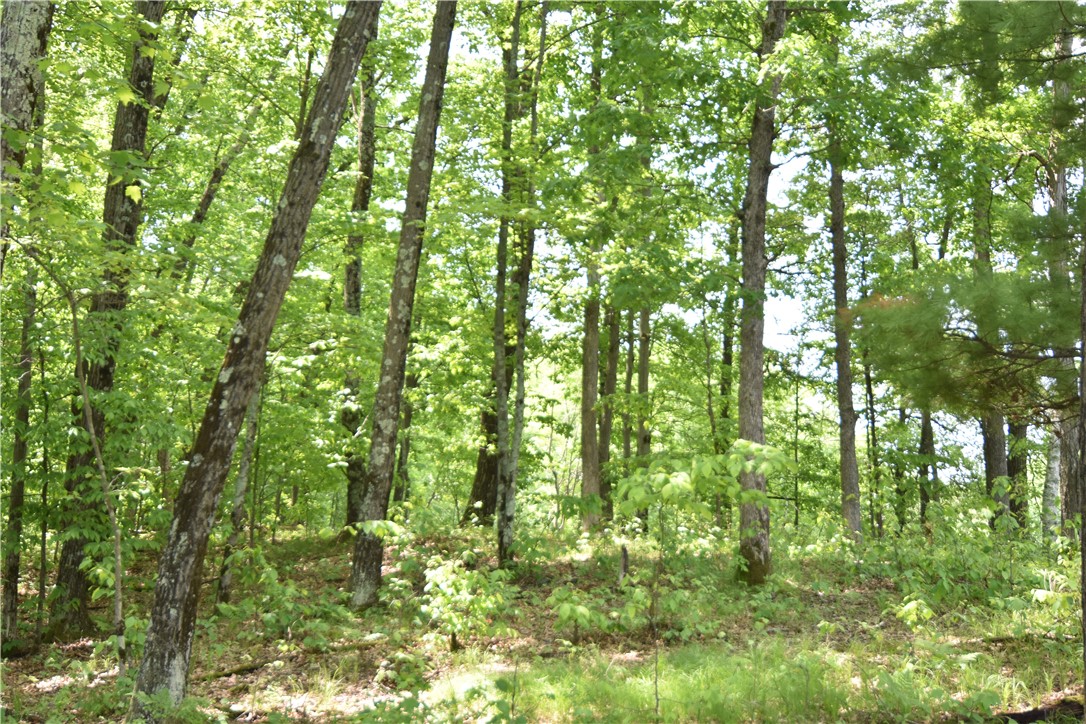 Lot 6 151st Street Property Photo 21